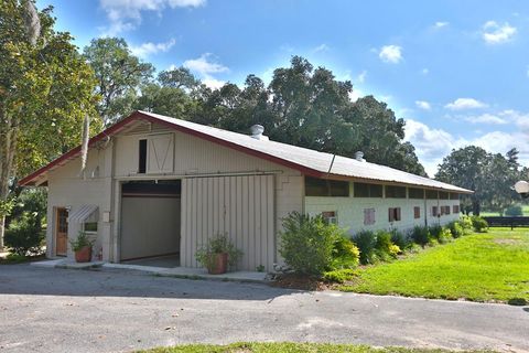 Tiny photo for 13450 NW Gainesville Road, Reddick, FL 32686 (MLS # OM661446)