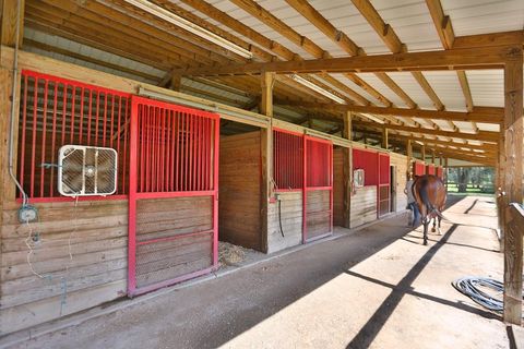 Tiny photo for 13450 NW Gainesville Road, Reddick, FL 32686 (MLS # OM661446)