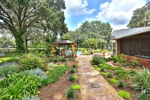 Tiny photo for 13450 NW Gainesville Road, Reddick, FL 32686 (MLS # OM661446)