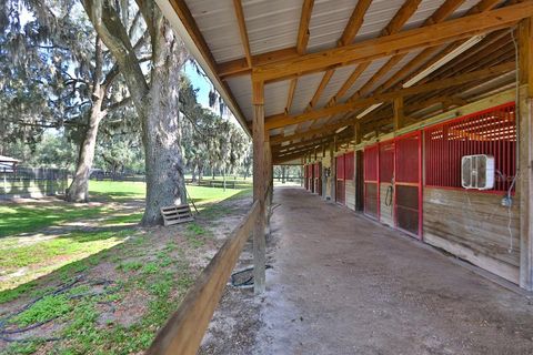 Tiny photo for 13450 NW Gainesville Road, Reddick, FL 32686 (MLS # OM661446)