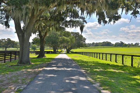 Tiny photo for 13450 NW Gainesville Road, Reddick, FL 32686 (MLS # OM661446)