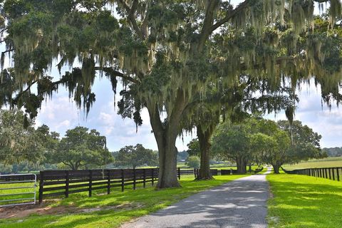 Tiny photo for 13450 NW Gainesville Road, Reddick, FL 32686 (MLS # OM661446)