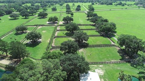 Tiny photo for 13450 NW Gainesville Road, Reddick, FL 32686 (MLS # OM661446)