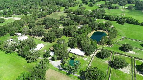 Tiny photo for 13450 NW Gainesville Road, Reddick, FL 32686 (MLS # OM661446)