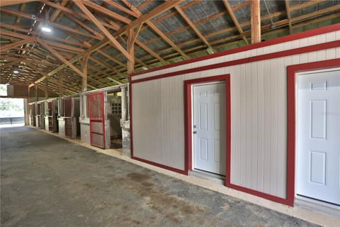 Tiny photo for 13450 NW Gainesville Road, Reddick, FL 32686 (MLS # OM661446)