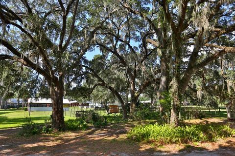 Tiny photo for 13450 NW Gainesville Road, Reddick, FL 32686 (MLS # OM661446)