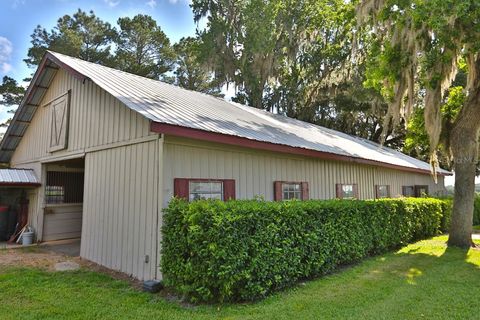 Tiny photo for 13450 NW Gainesville Road, Reddick, FL 32686 (MLS # OM661446)