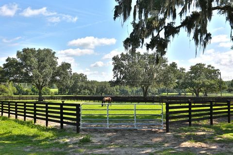 Tiny photo for 13450 NW Gainesville Road, Reddick, FL 32686 (MLS # OM661446)