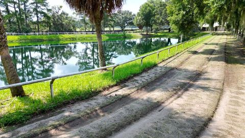 Tiny photo for 13450 NW Gainesville Road, Reddick, FL 32686 (MLS # OM661446)