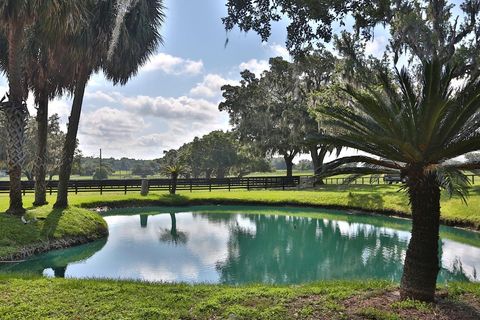 Tiny photo for 13450 NW Gainesville Road, Reddick, FL 32686 (MLS # OM661446)