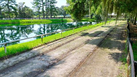 Tiny photo for 13450 NW Gainesville Road, Reddick, FL 32686 (MLS # OM661446)