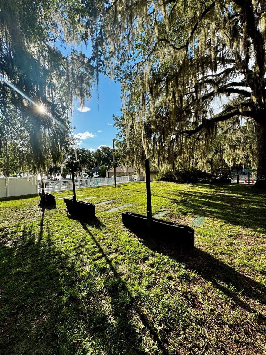 SALT SPRINGS RESORT CONDOMINUM - Land