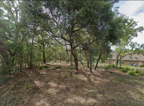 Tiny photo for 17 Cherrypalm Court, Homosassa, FL 34446 (MLS # W7884376)