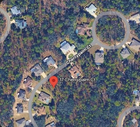 Photo of 17 Cherrypalm Court, Homosassa, FL 34446 (MLS # W7884376)