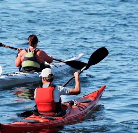 Tiny photo for 17 Cherrypalm Court, Homosassa, FL 34446 (MLS # W7884376)