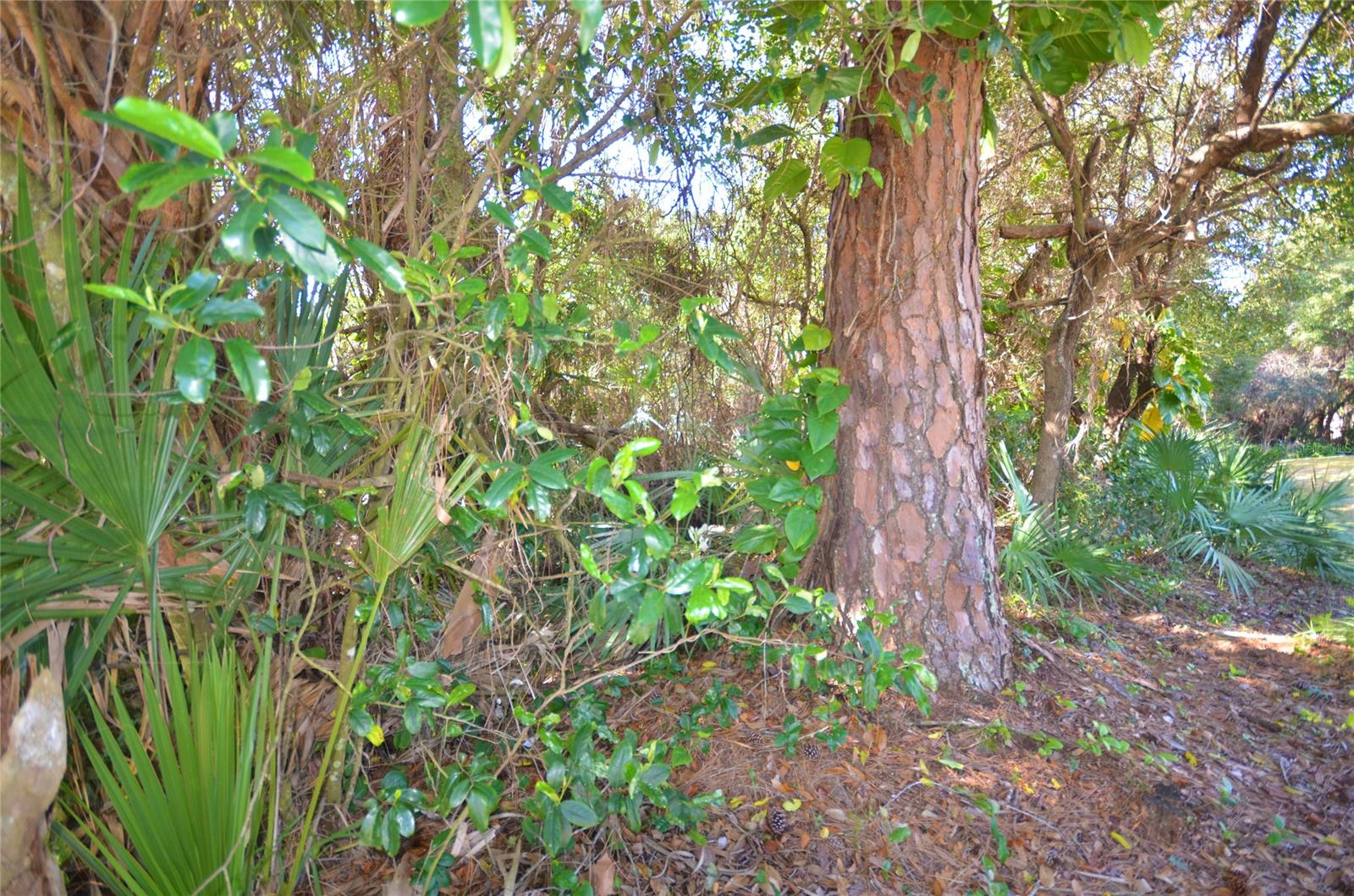 Islesboro Sec 02 - Land