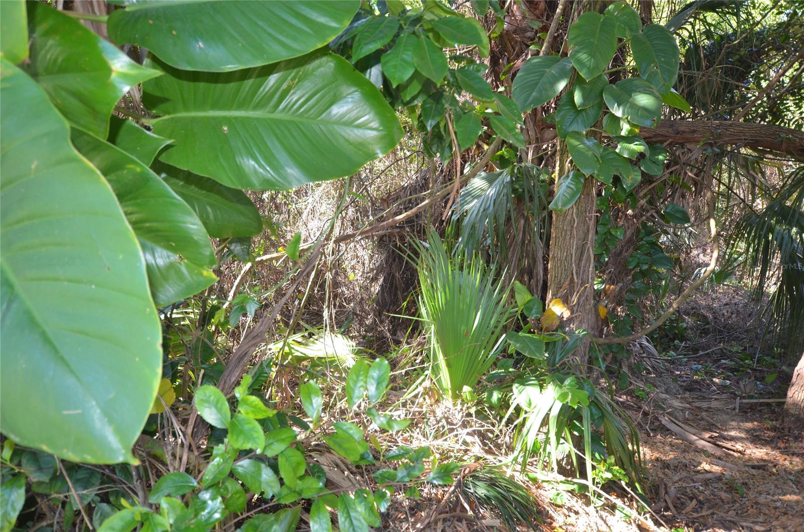 Islesboro Sec 02 - Land