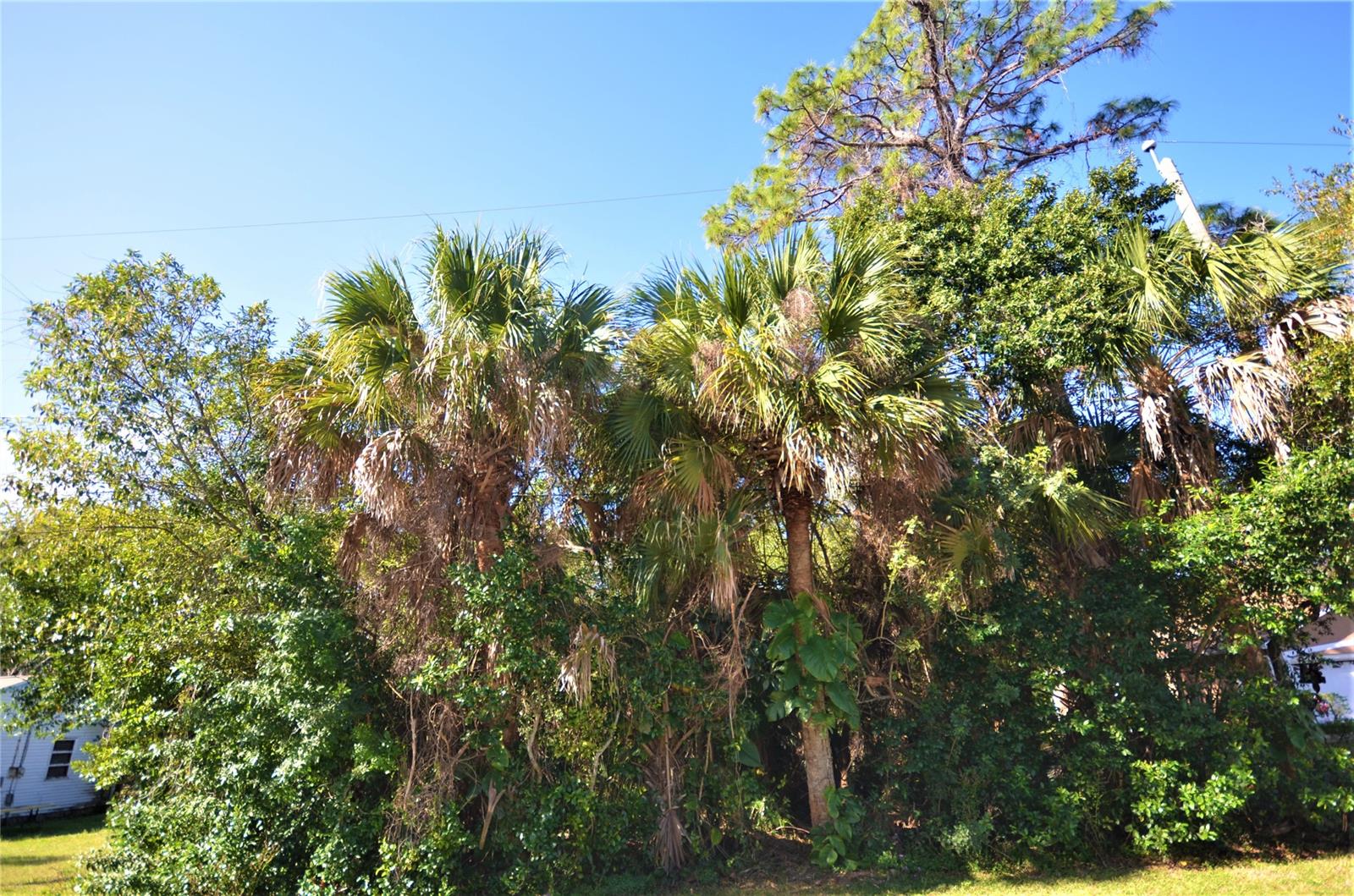 Islesboro Sec 02 - Land