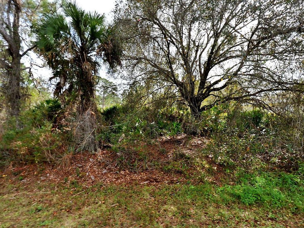 Photo of Fling Avenue, North Port, FL 34291 (MLS # A4641807)