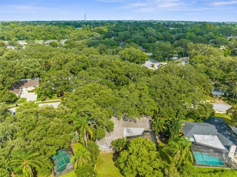 A home in PALM HARBOR