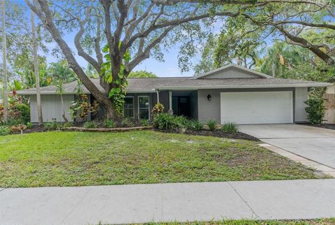 A home in PALM HARBOR