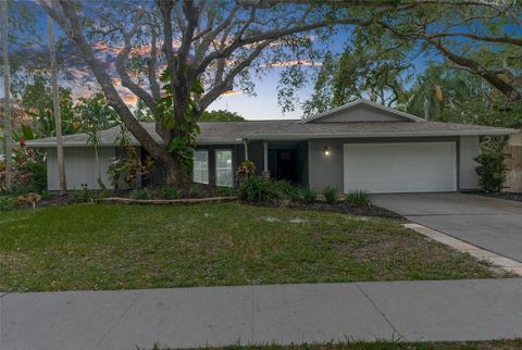 A home in PALM HARBOR