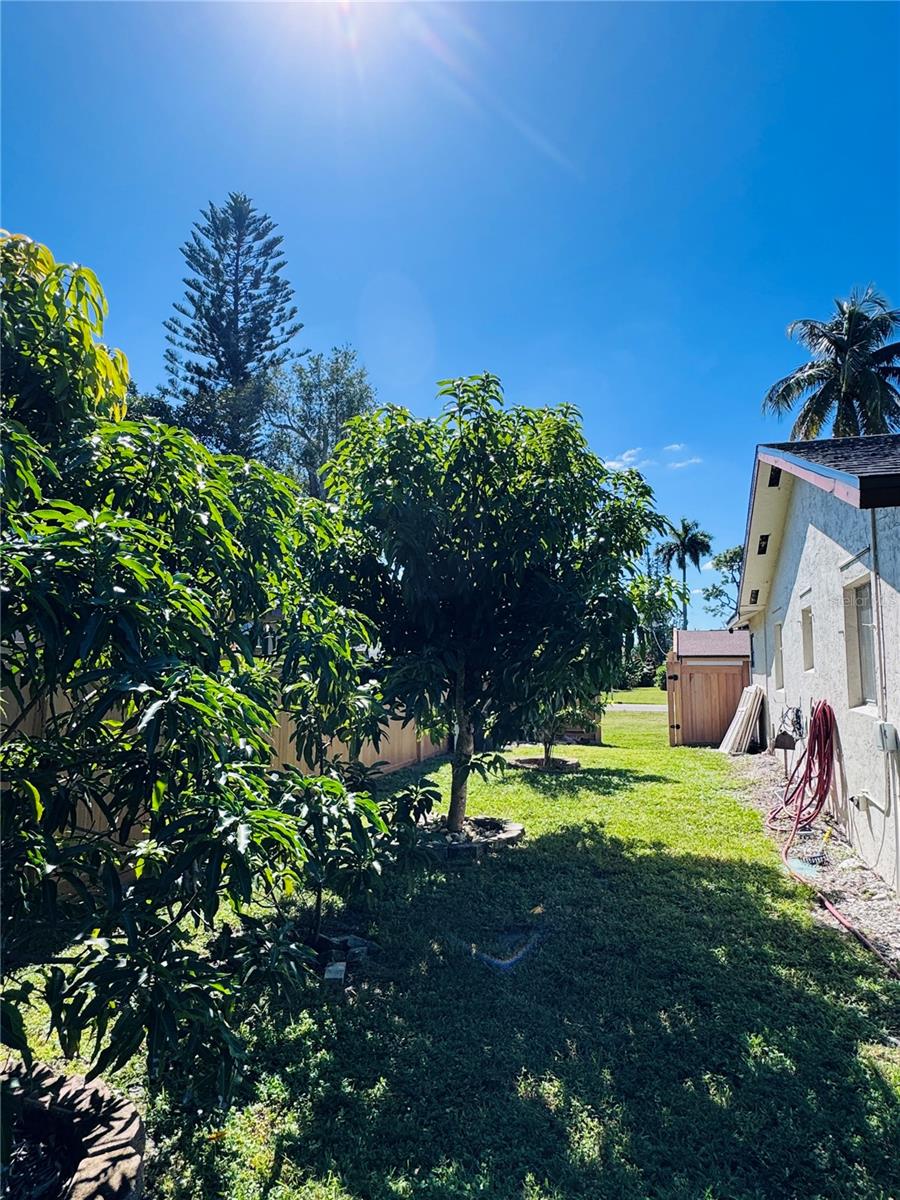 FT MYERS VILLAS - Residential