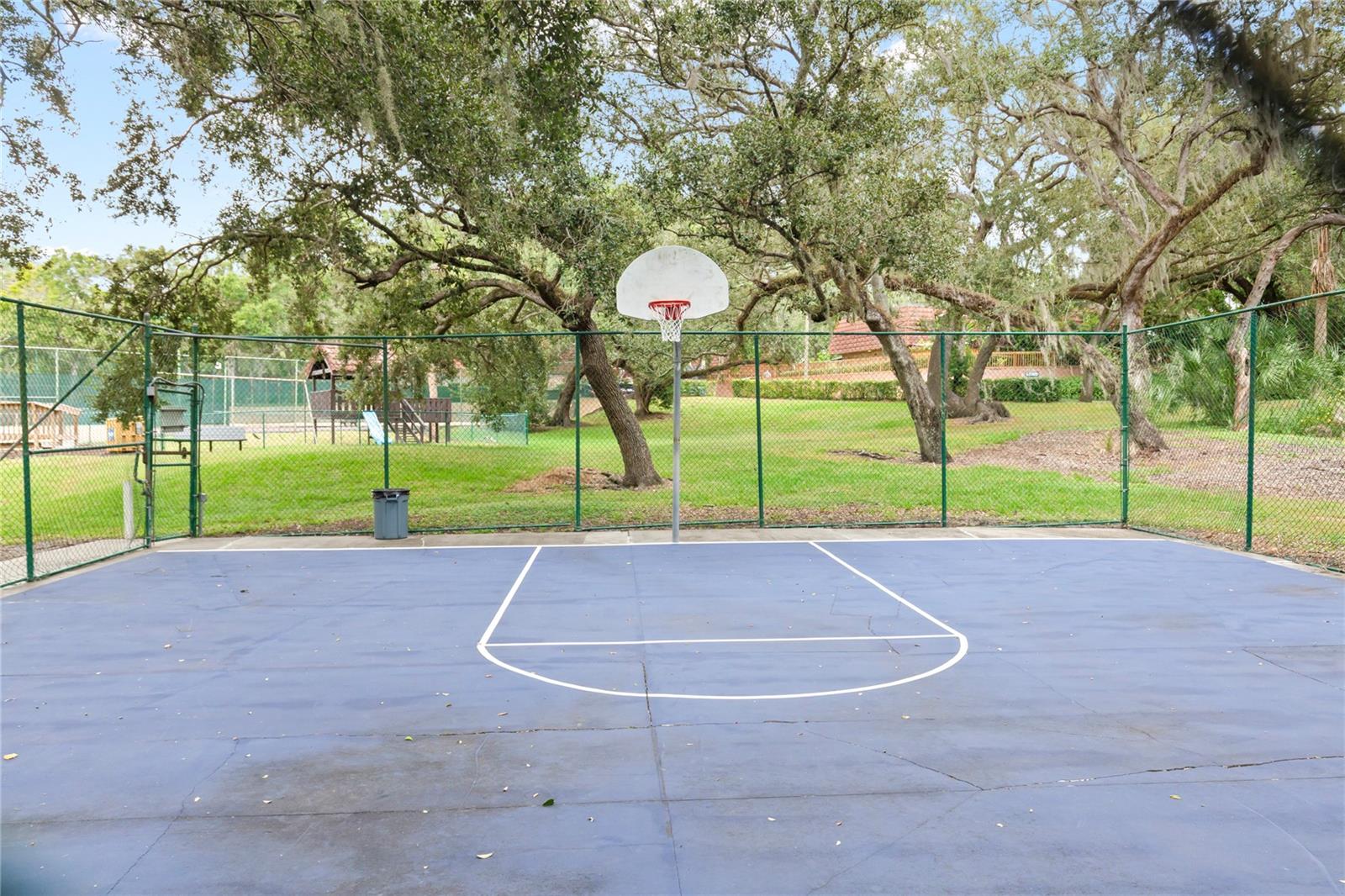 WEDGE WOOD OF PALM HARBOR - Residential