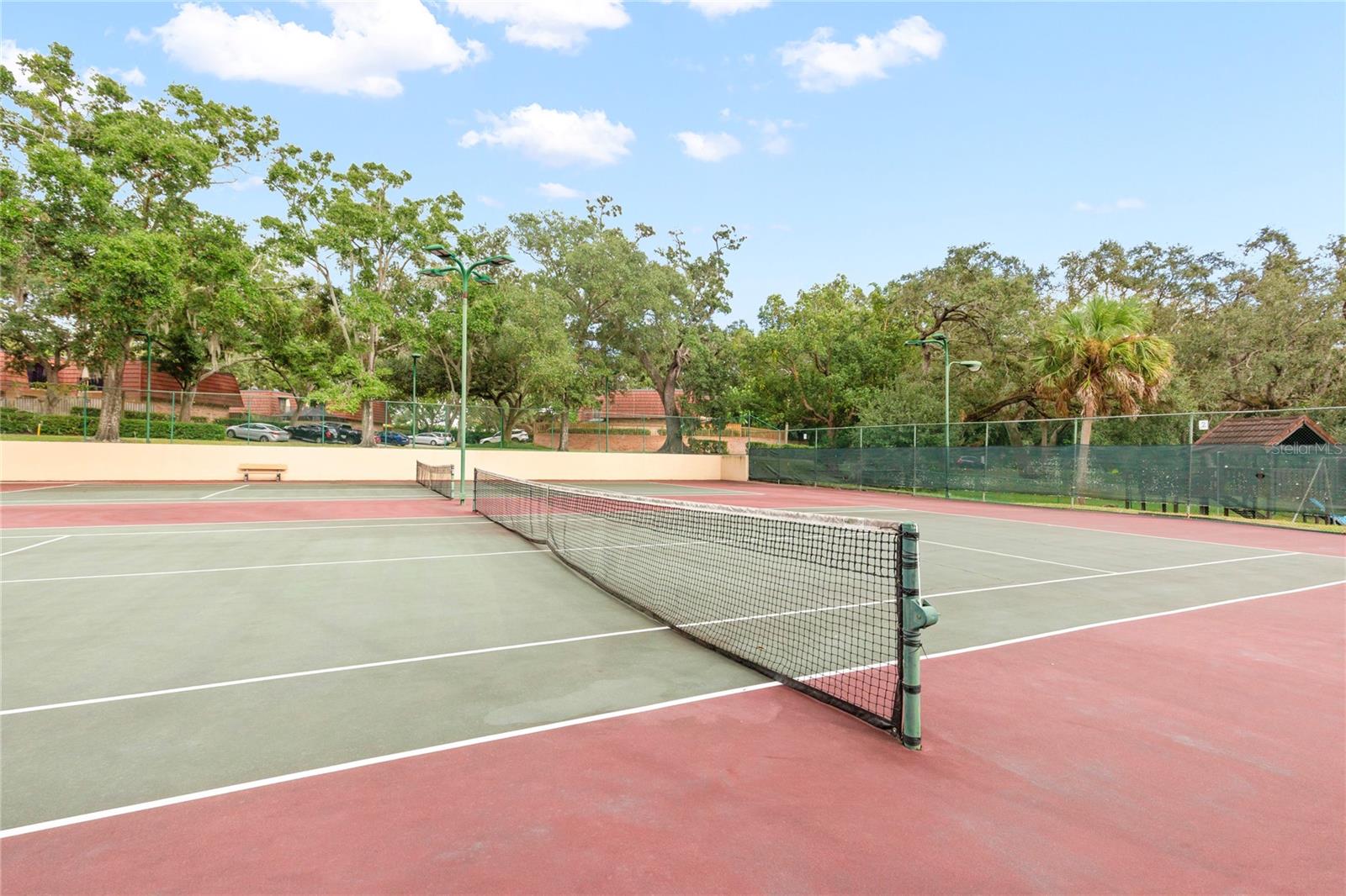 WEDGE WOOD OF PALM HARBOR - Residential