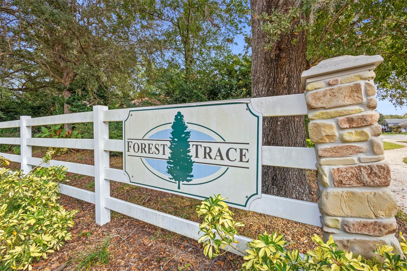 FOREST TRACE - Residential