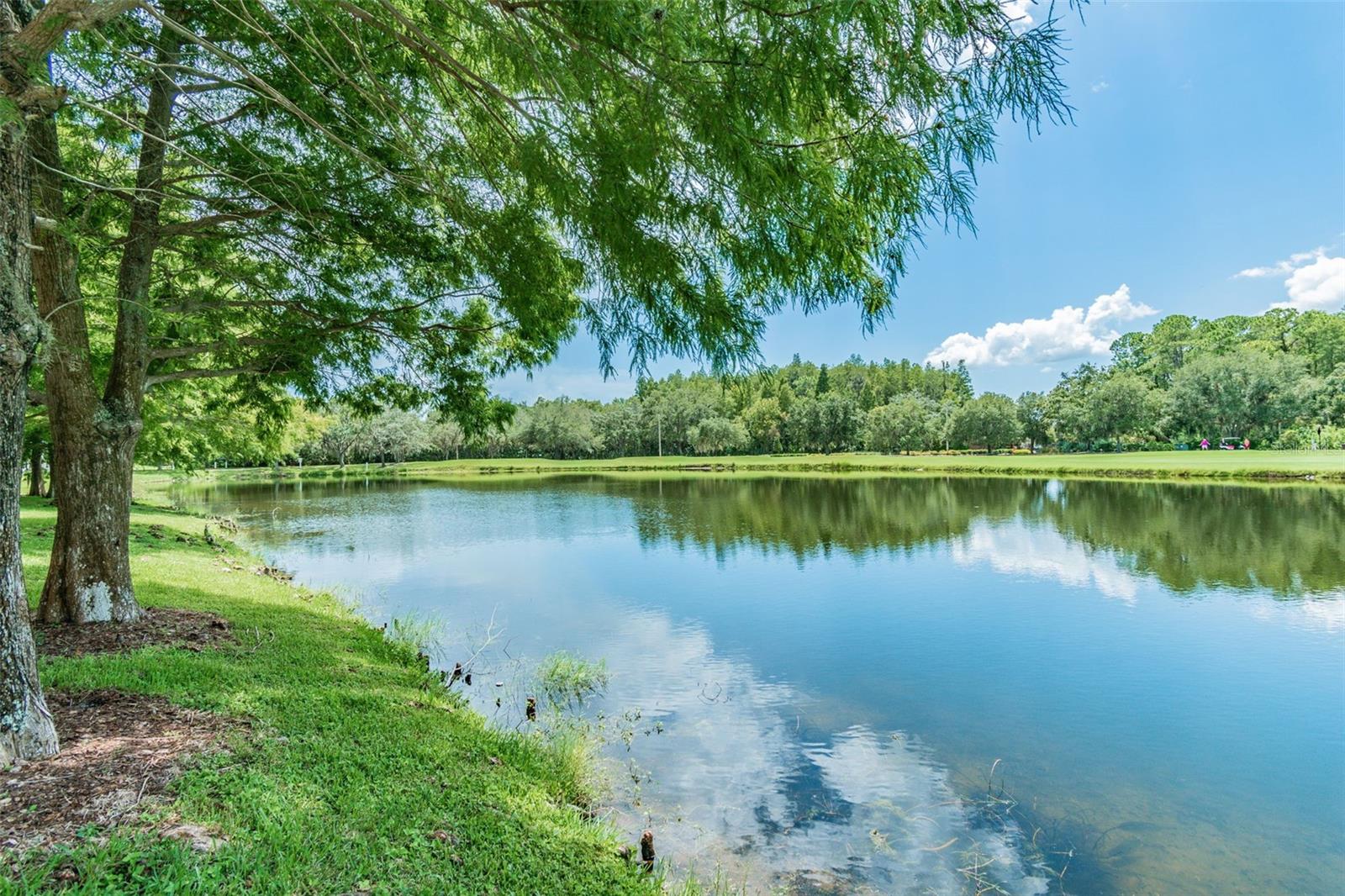 WESTCHASE SEC 303 - Residential