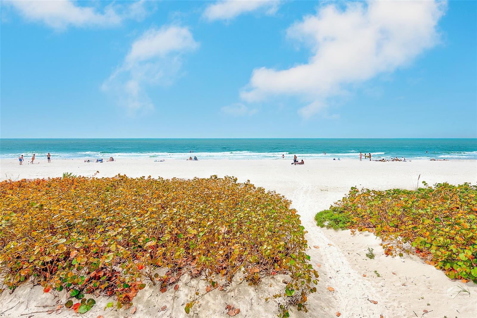 SUNPLACE CONDO - Residential