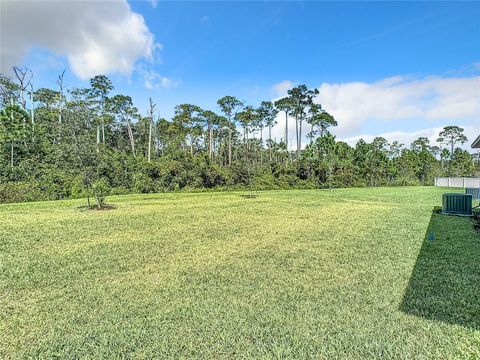 A home in NEW SMYRNA BEACH