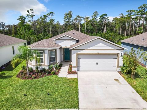 A home in NEW SMYRNA BEACH