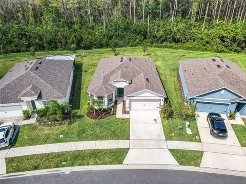 A home in NEW SMYRNA BEACH