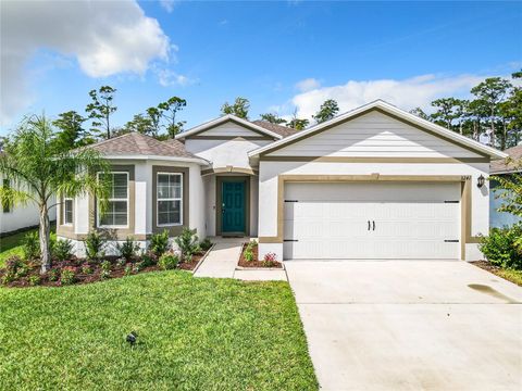 A home in NEW SMYRNA BEACH