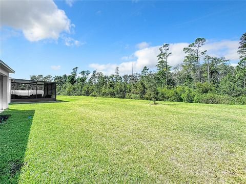 A home in NEW SMYRNA BEACH