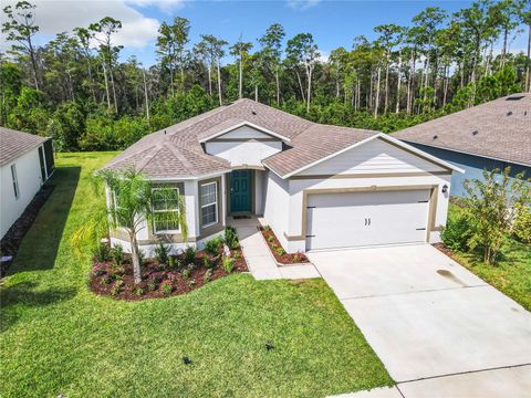 A home in NEW SMYRNA BEACH