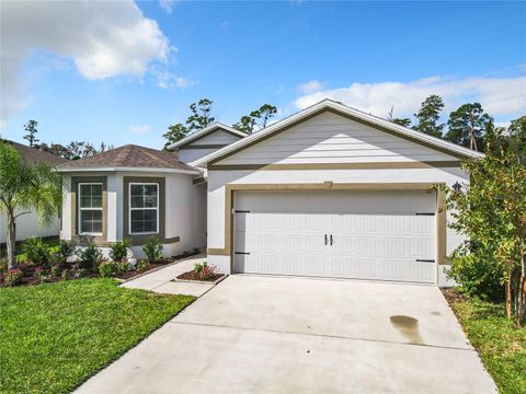 A home in NEW SMYRNA BEACH