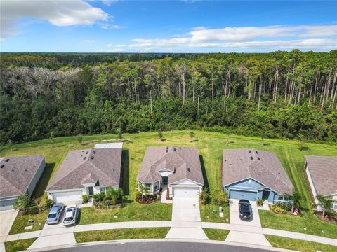 A home in NEW SMYRNA BEACH