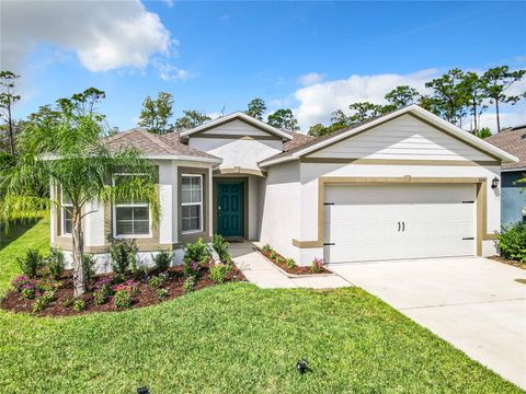 A home in NEW SMYRNA BEACH