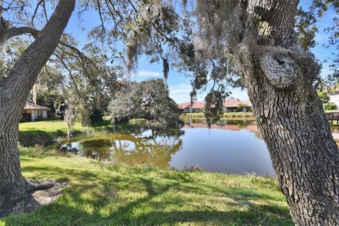 A home in SARASOTA