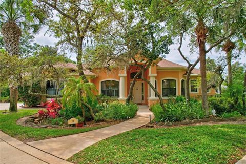 A home in PALM COAST