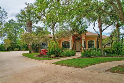 A home in PALM COAST