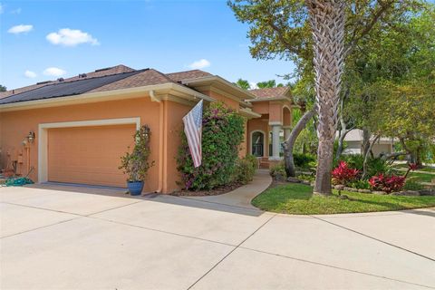 A home in PALM COAST