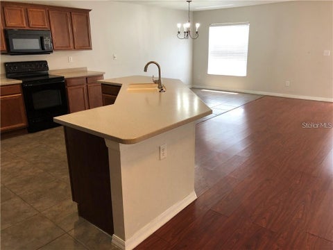 5116 Cello Wood Lane, Wesley Chapel, FL 33543
