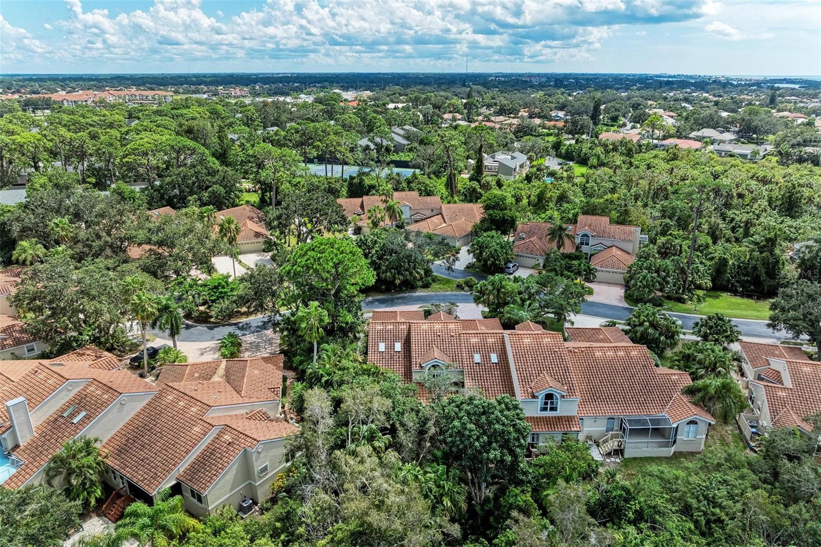 264 WOODS POINT ROAD