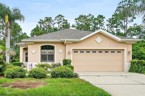 Photo of 110 S Hummingbird Place, Palm Coast, FL 32164 (MLS # FC320089)