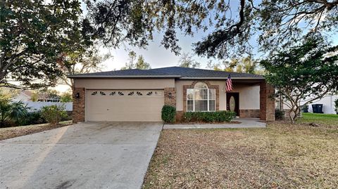 A home in RIVERVIEW