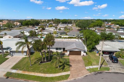 A home in TAMPA